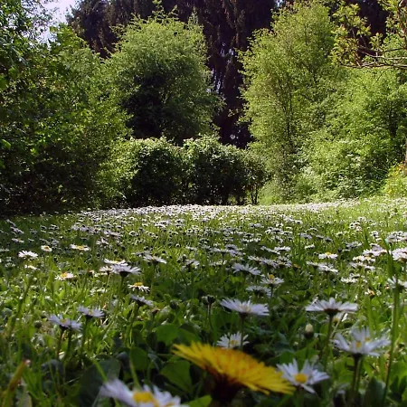 펜션 Maurenne Hastière-Lavaux